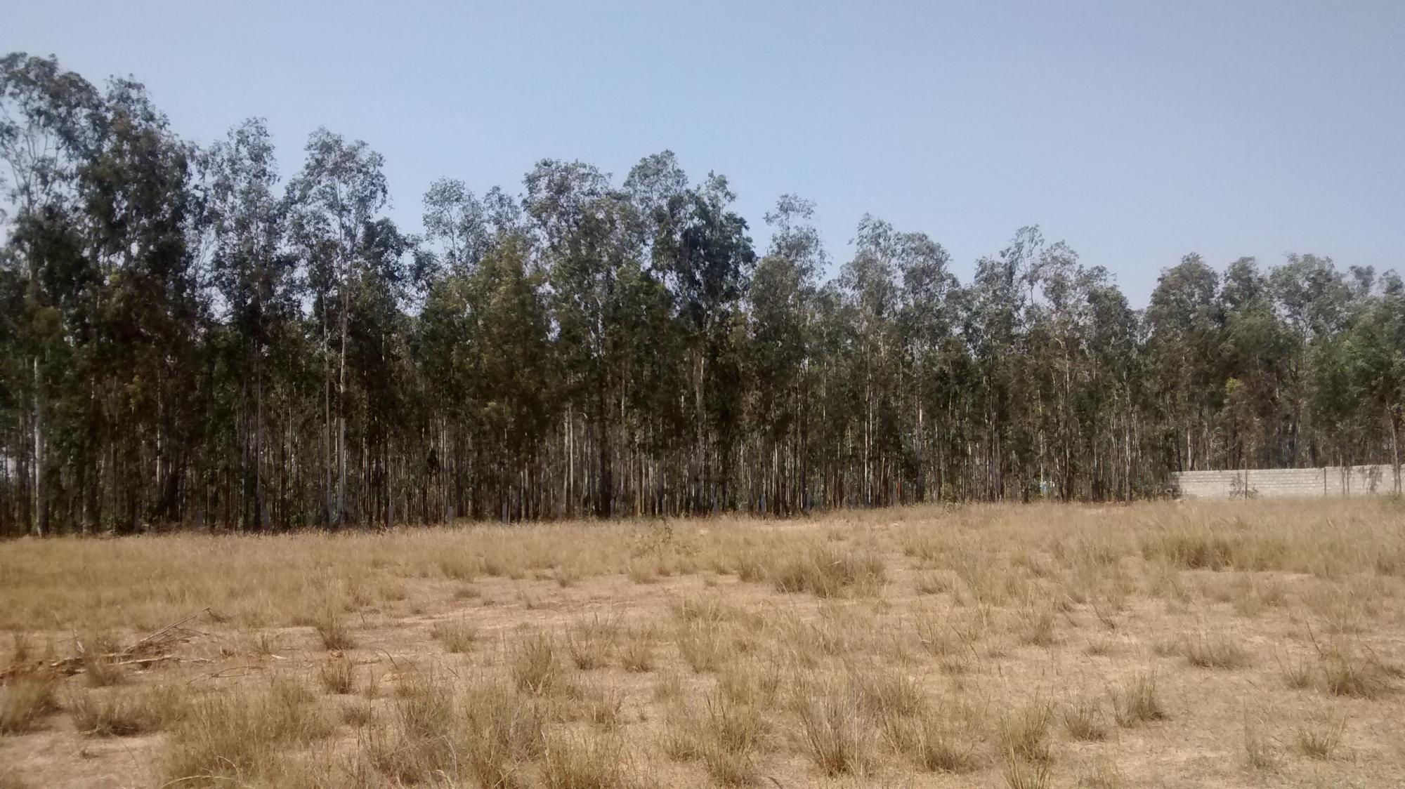 The empty site in Yelahanka