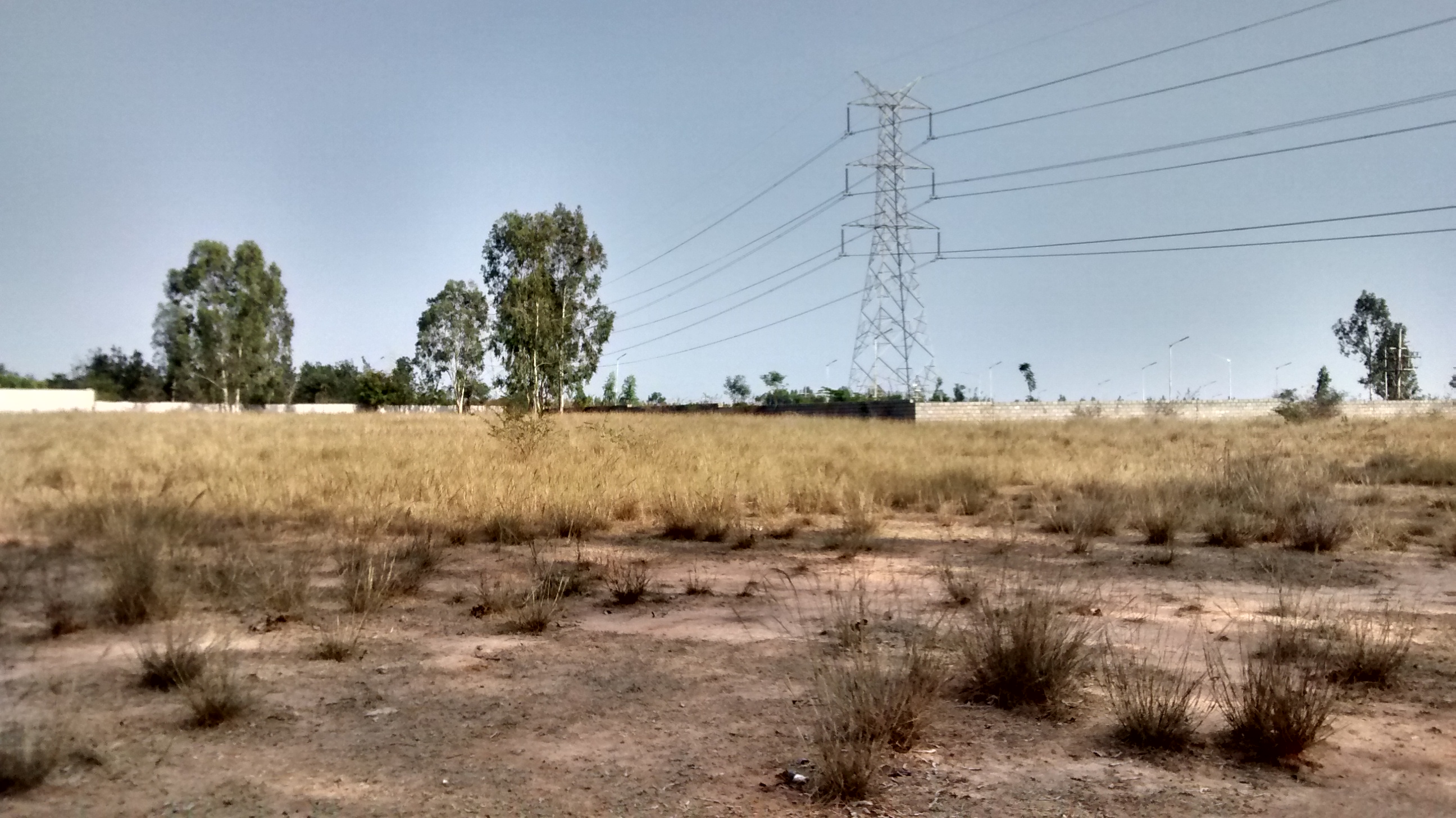 A view across the site